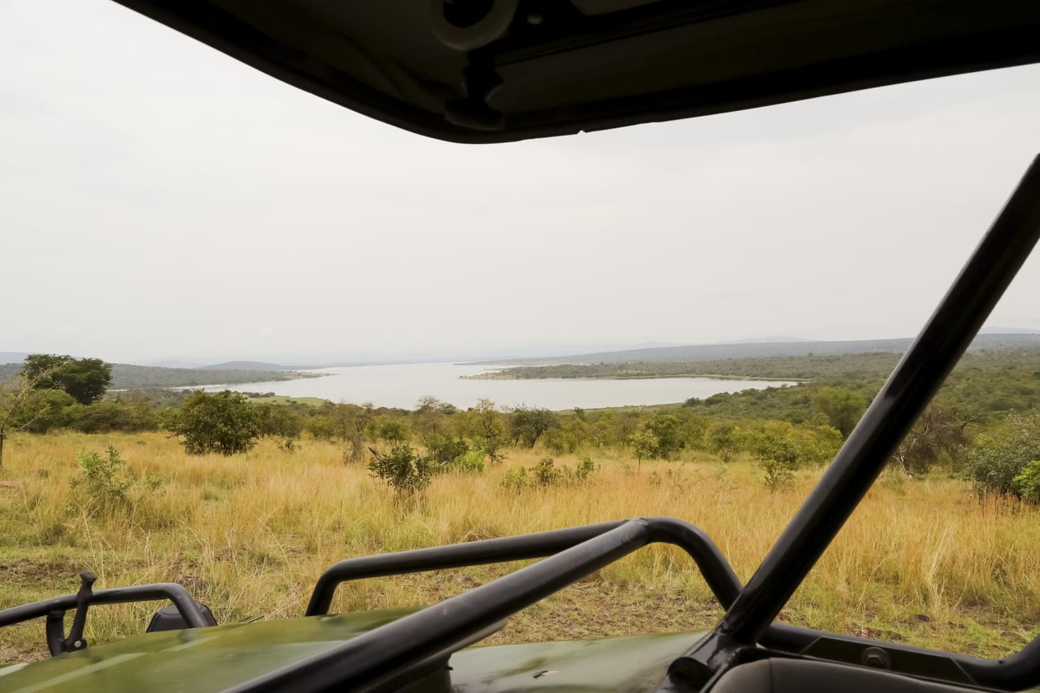 Looking out over Akagera from one of our safari vehicles
